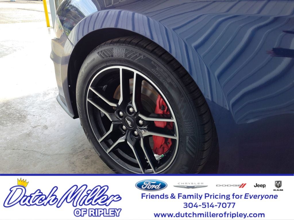 2019 Ford Mustang GT Premium