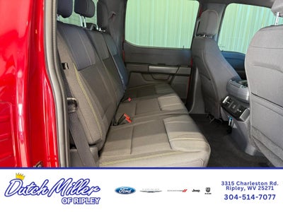 2024 Ford F-150 STX